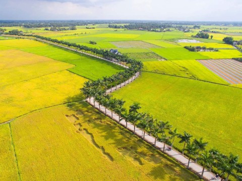 VẬN CHUYỂN THÀNH VINH VẬN CHUYỂN THÀNH VINH