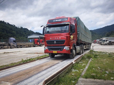VẬN CHUYỂN THÀNH VINH